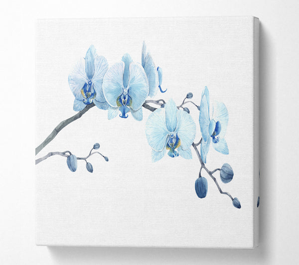 A Square Canvas Print Showing The Blue Orchid Curve Square Wall Art