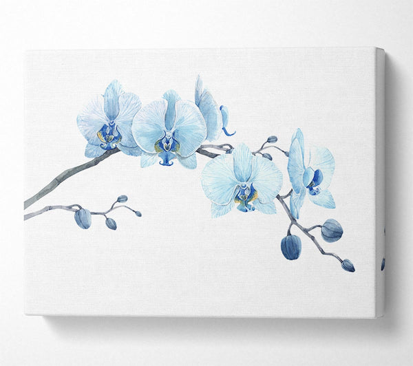 Picture of The Blue Orchid Curve Canvas Print Wall Art