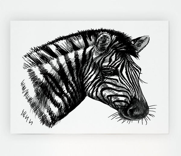 Black And White Zebra Head Print Poster Wall Art