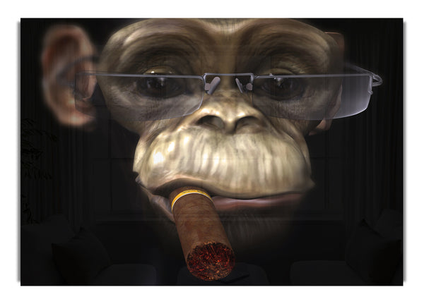 The Chimp Cigar Smoker