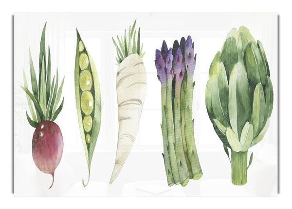 Set Of 5 Veg