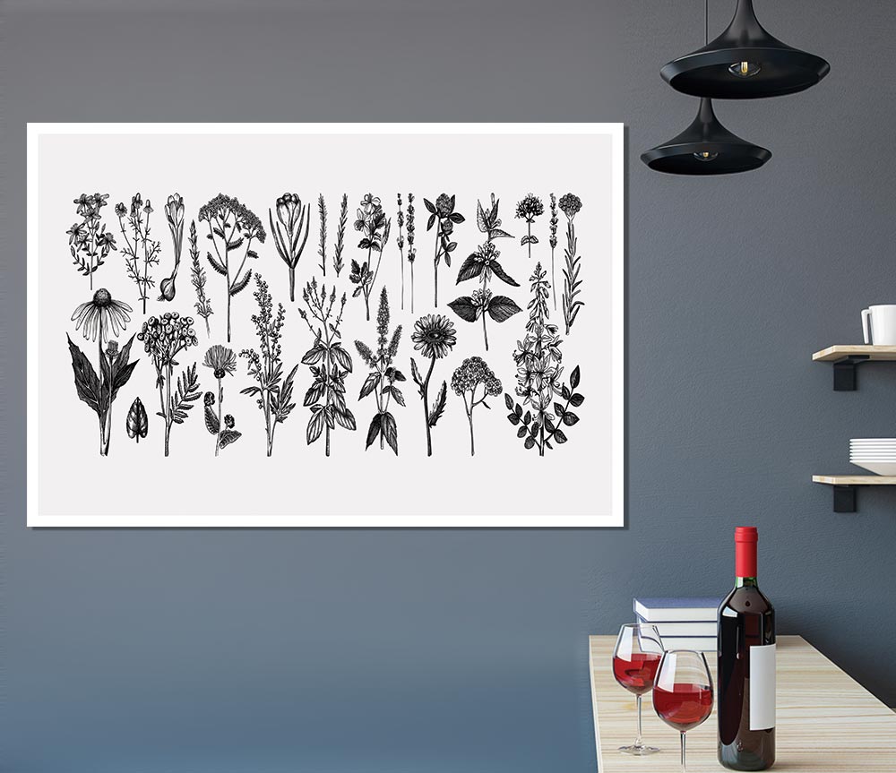 The Small Plant Collection 2 Print Poster Wall Art