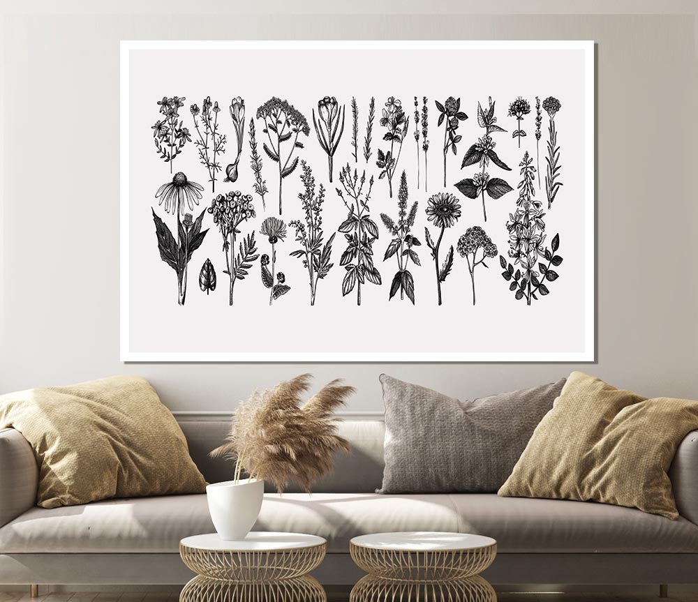 The Small Plant Collection 2 Print Poster Wall Art