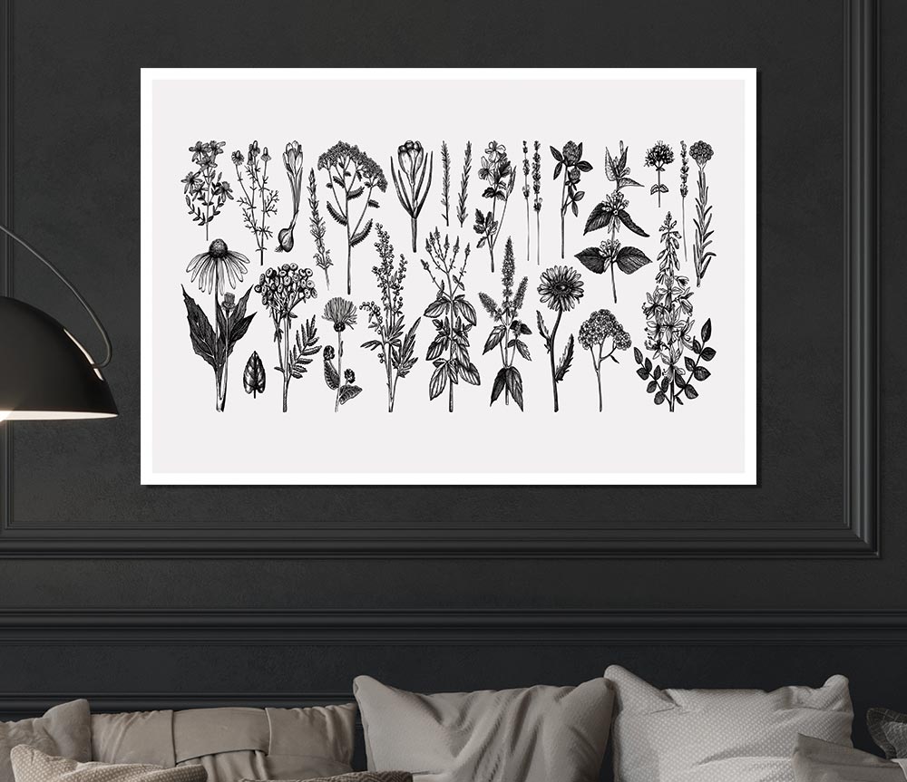 The Small Plant Collection 2 Print Poster Wall Art