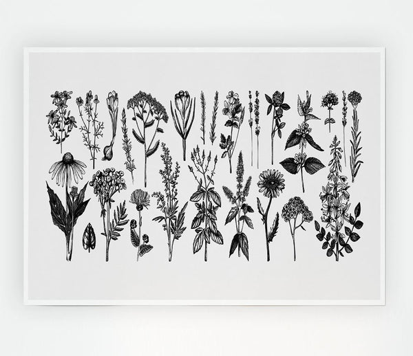 The Small Plant Collection 2 Print Poster Wall Art