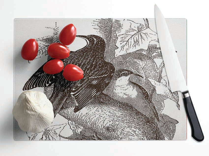 Old British Illustration Of Birds Glass Chopping Board