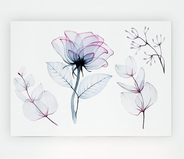 Transparency Flowers Print Poster Wall Art