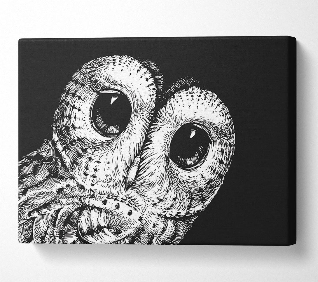 Picture of The Big Eyed Owl Canvas Print Wall Art