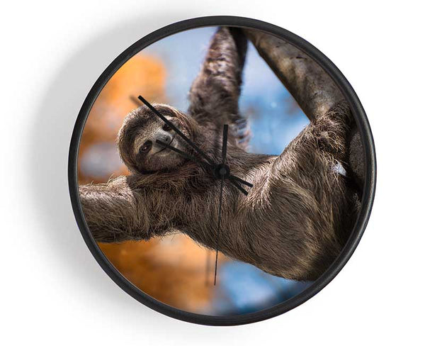 Sloth Hanging From A Tree Clock - Wallart-Direct UK