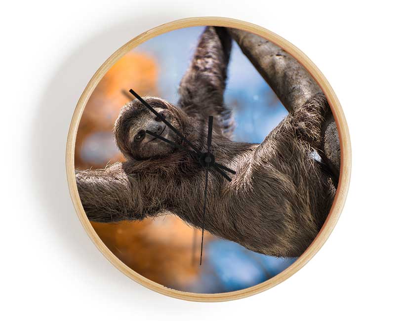 Sloth Hanging From A Tree Clock - Wallart-Direct UK