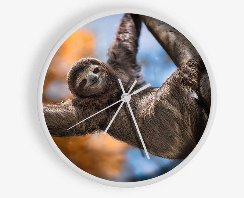 Sloth Hanging From A Tree Clock - Wallart-Direct UK