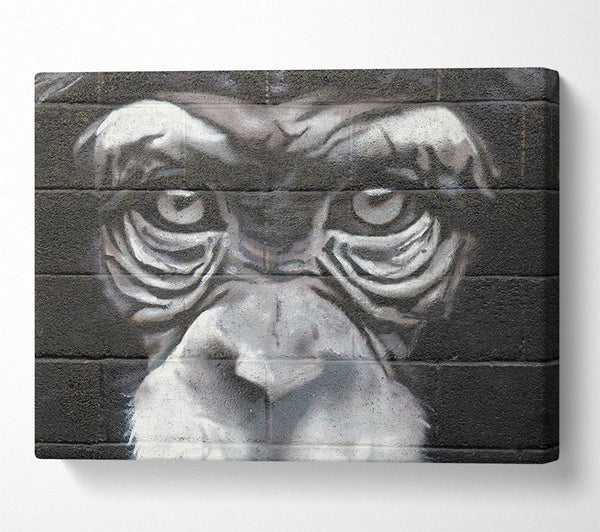 Picture of The Chimp Eyes Canvas Print Wall Art