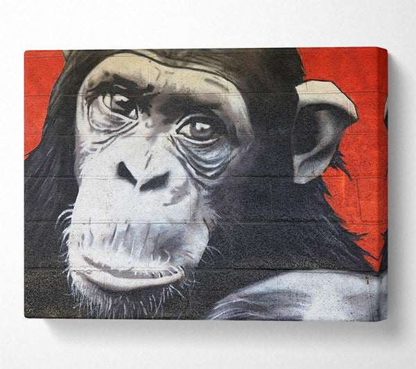 Picture of The Chimp On Red Canvas Print Wall Art