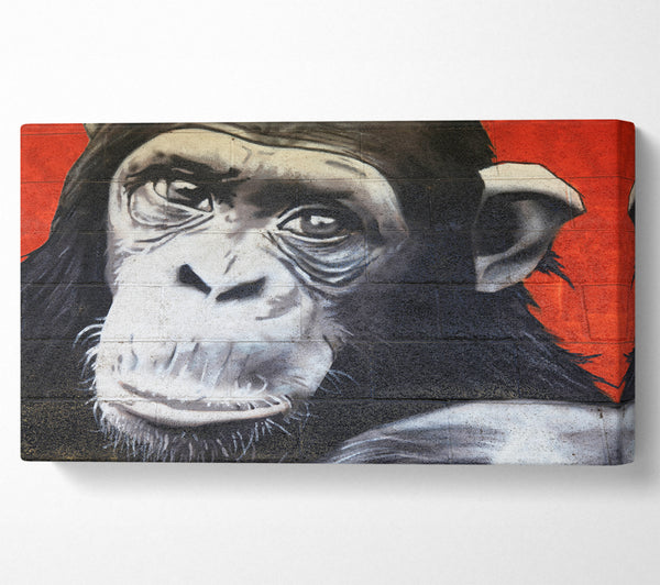 The Chimp On Red