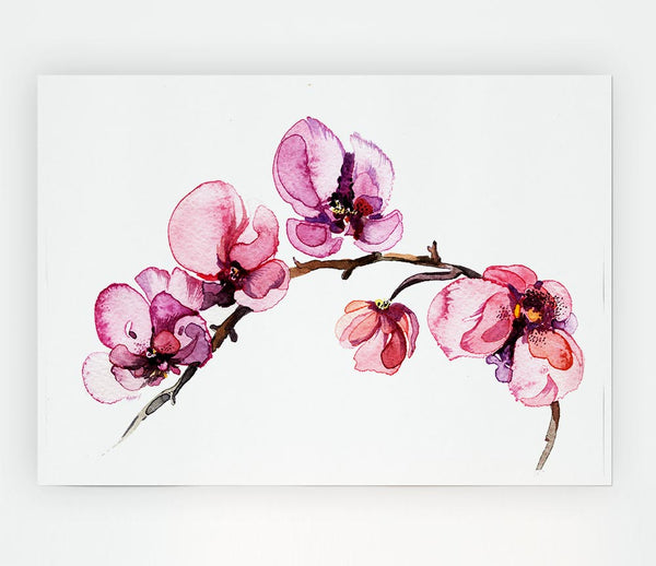 The Pink Orchid Branch Single Print Poster Wall Art