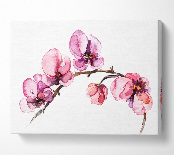 Picture of The Pink Orchid Branch Single Canvas Print Wall Art