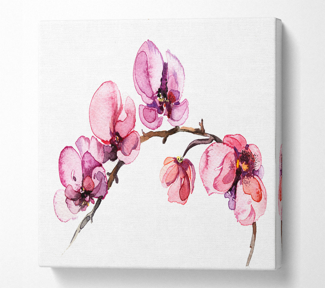 A Square Canvas Print Showing The Pink Orchid Branch Single Square Wall Art