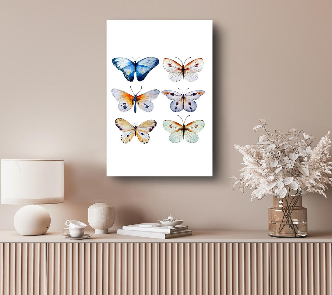 Picture of Butterfly Breeds Canvas Print Wall Art