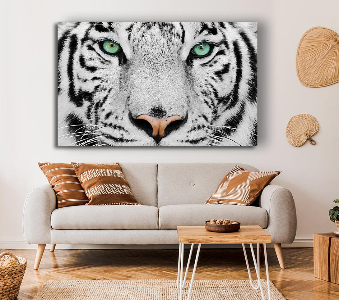 Picture of Green Eyed White Tiger Canvas Print Wall Art