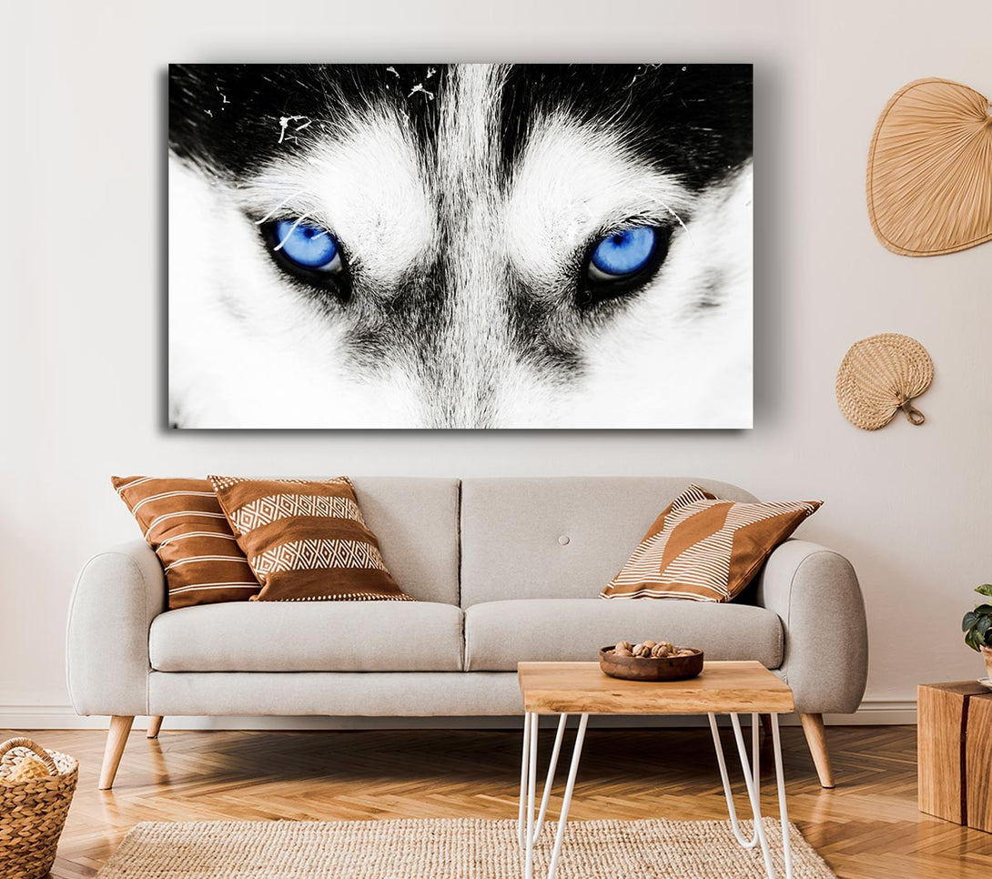 Picture of Husky Dog Blues Canvas Print Wall Art