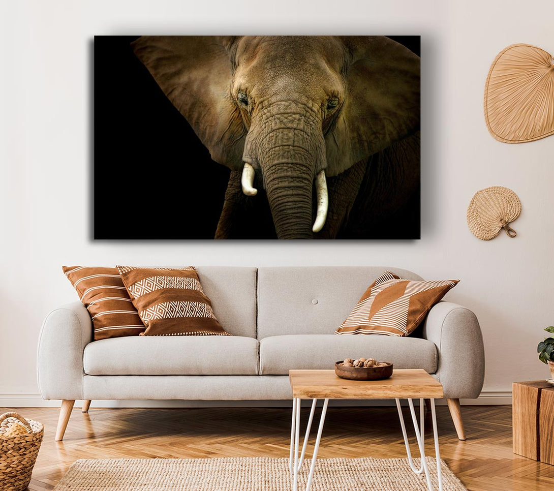 Picture of Stunning Elephant Face Canvas Print Wall Art