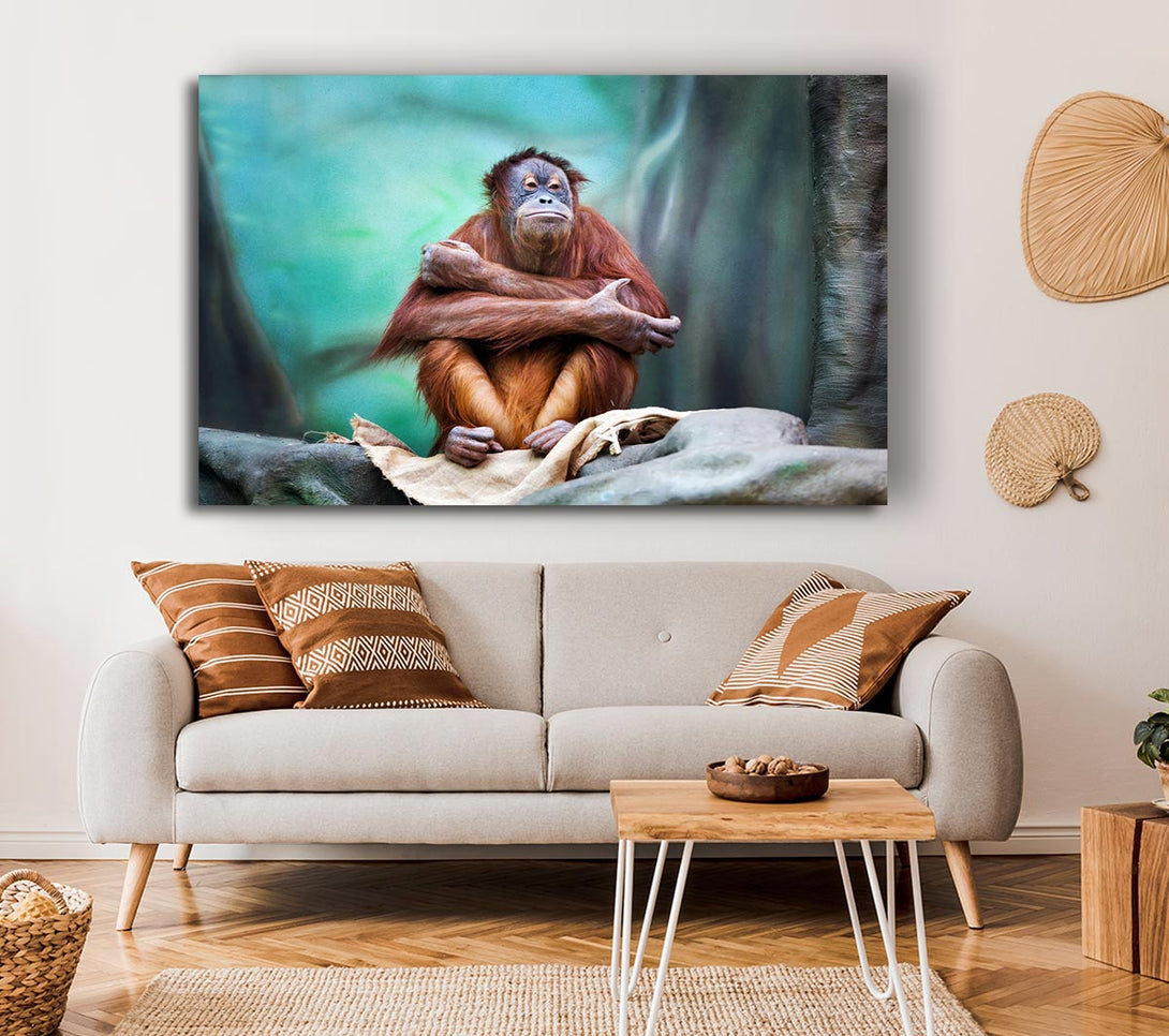 Picture of Orangutan Forest Canvas Print Wall Art