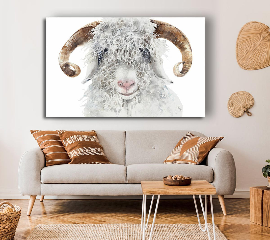 Picture of Sheep Beauty Canvas Print Wall Art