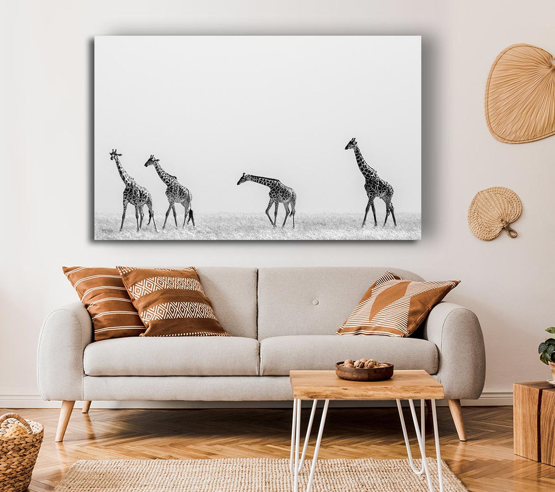 Picture of Giraffe Safari LineUp Canvas Print Wall Art