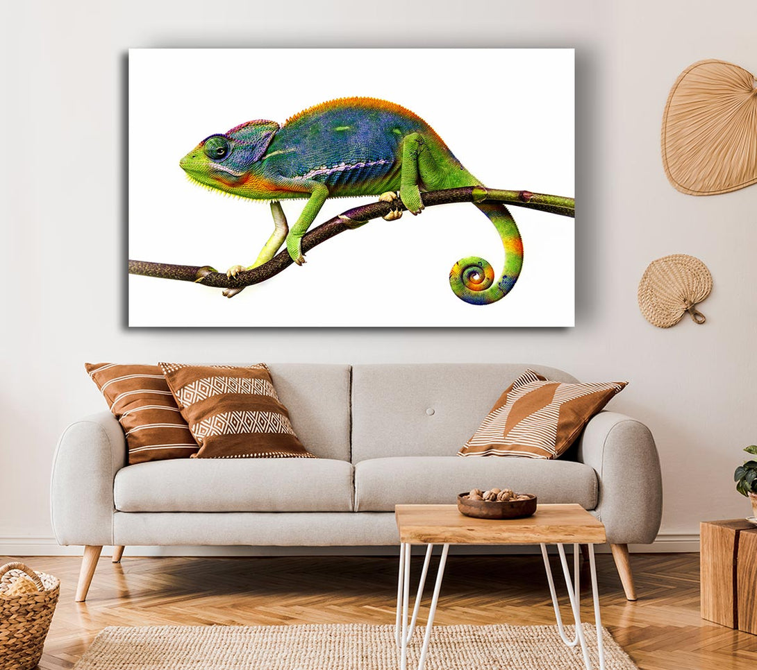 Picture of Chameleon Branch Canvas Print Wall Art