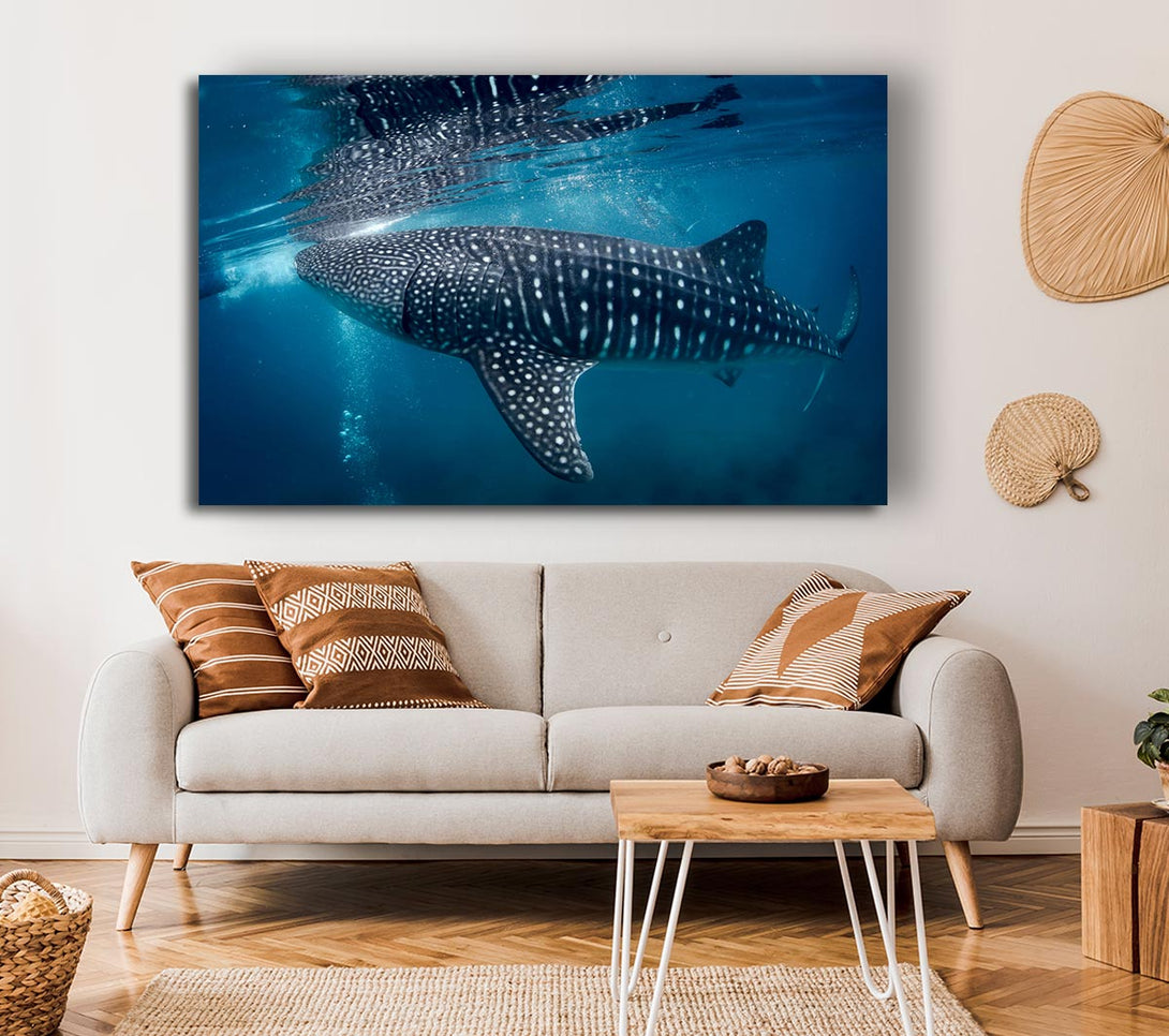 Picture of Spotted Whale Shark Canvas Print Wall Art