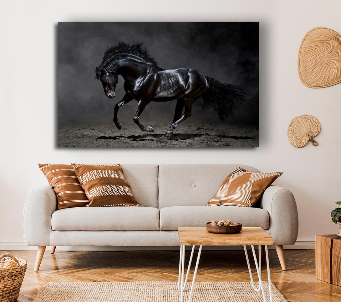 Picture of Black Beauty Horse Canvas Print Wall Art