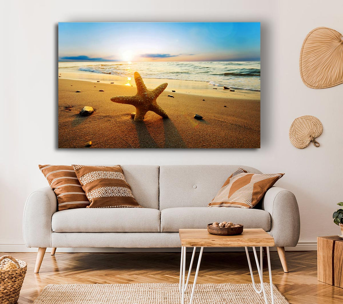 Picture of Starfish Sun Glow Canvas Print Wall Art