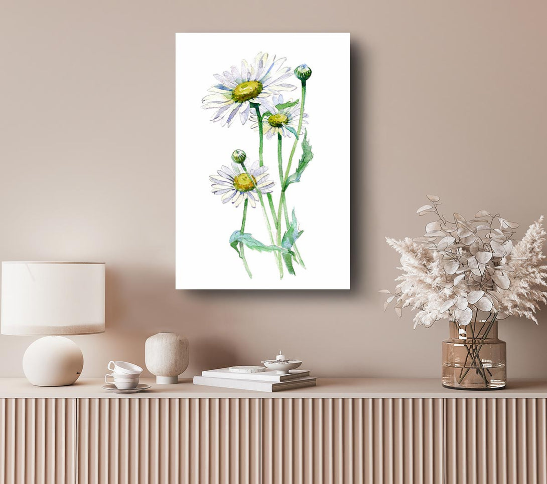 Picture of Daisy Center Canvas Print Wall Art