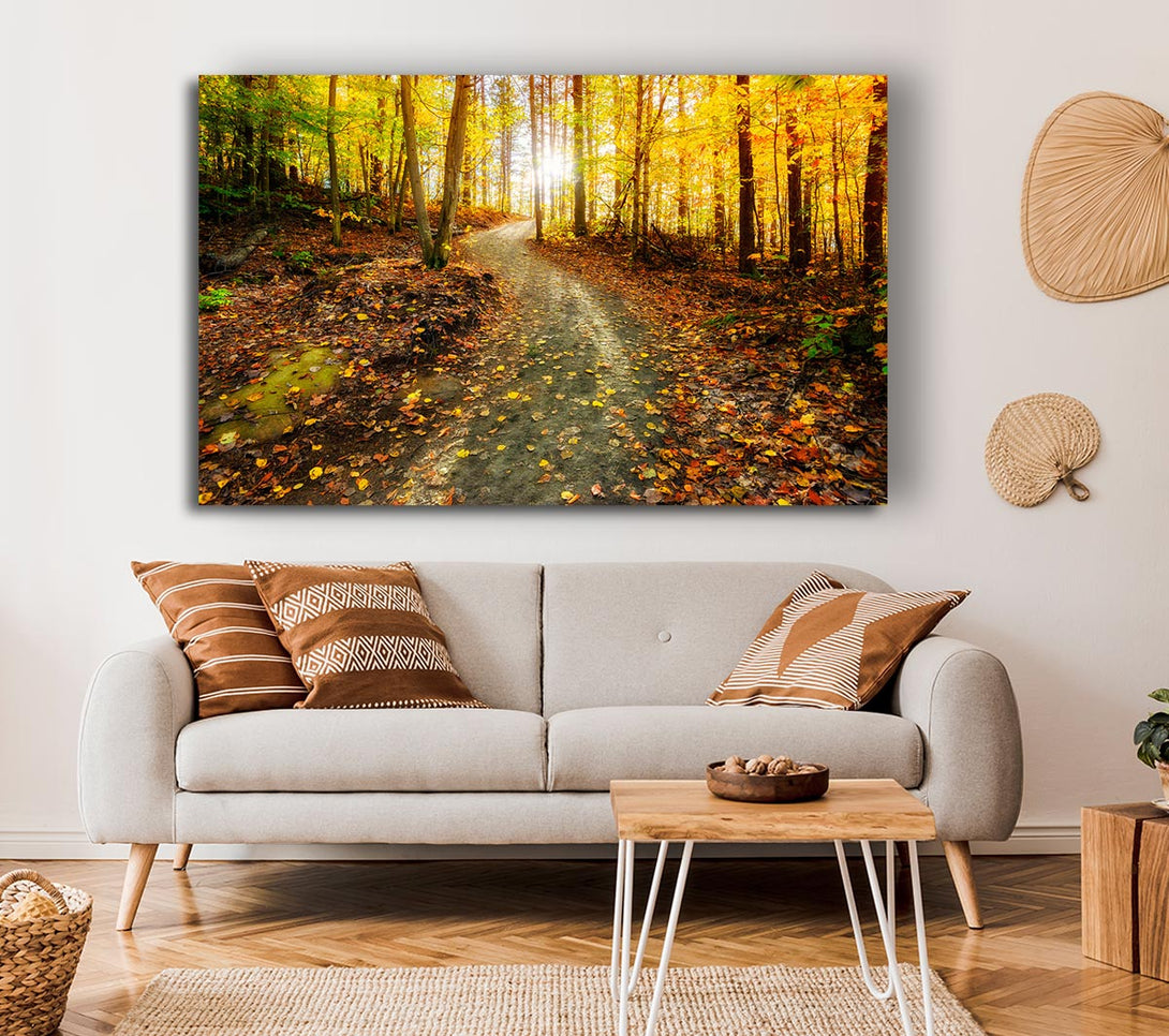 Picture of Path To The Sun 1 Canvas Print Wall Art