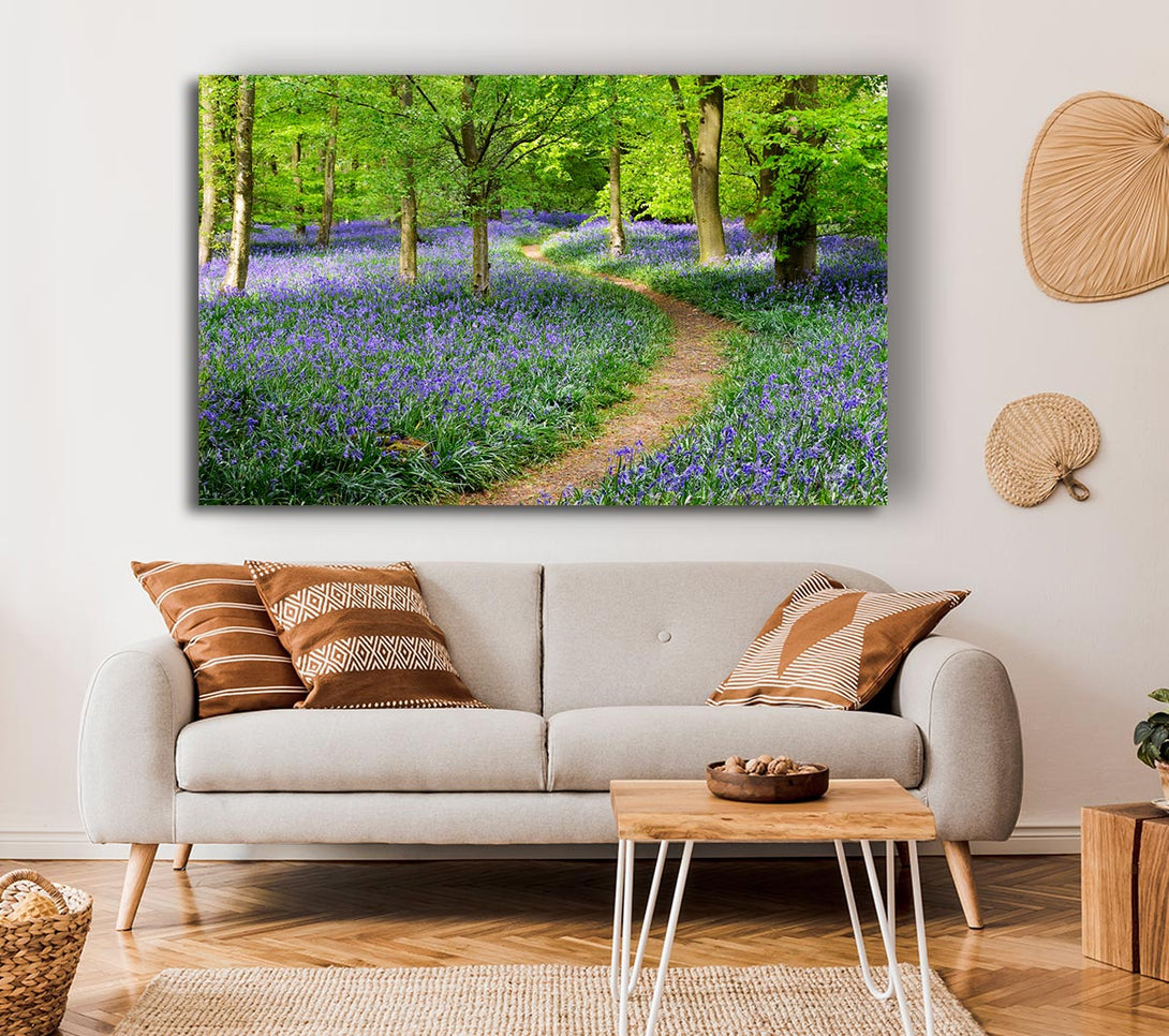 Picture of Walk Through The Bluebell Path Canvas Print Wall Art