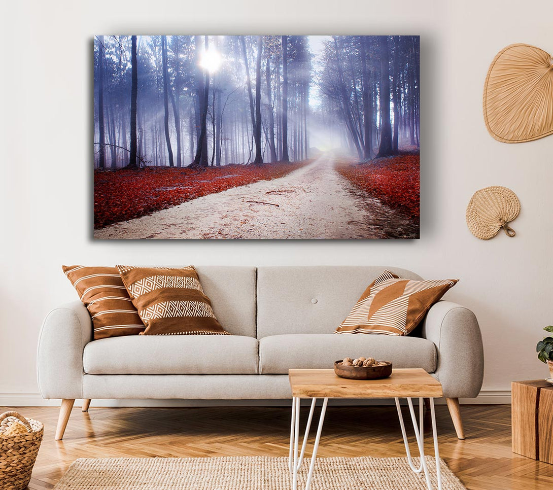 Picture of Sun Blaze Through The Mist Canvas Print Wall Art