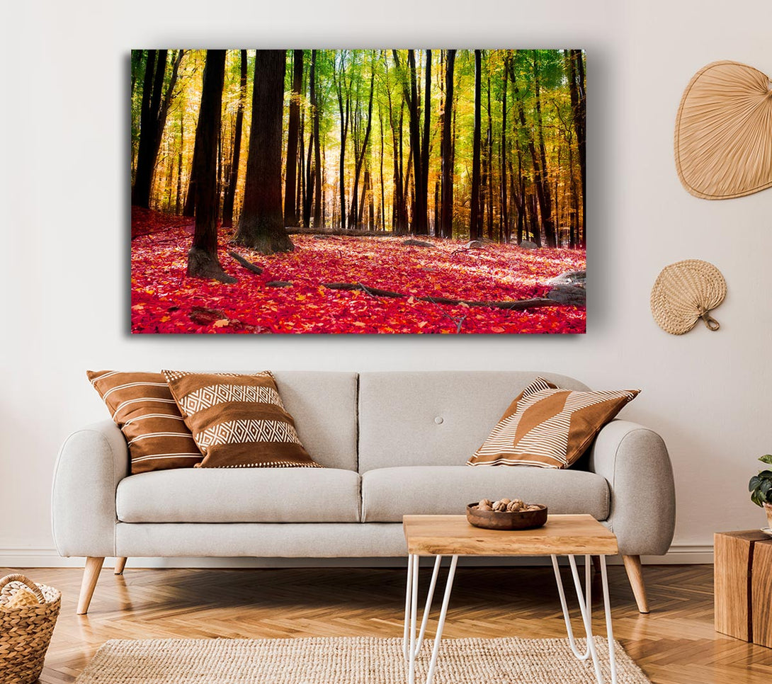 Picture of Autumn Leaves Canvas Print Wall Art