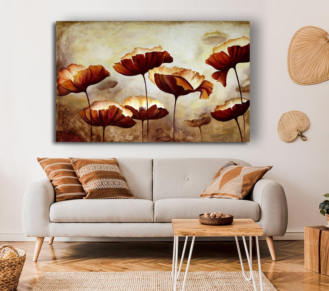 Picture of Chocolate Poppies Canvas Print Wall Art