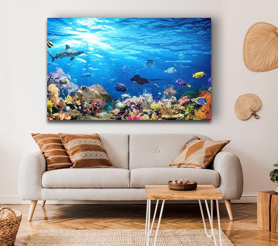 Picture of Creatures in the reef Canvas Print Wall Art