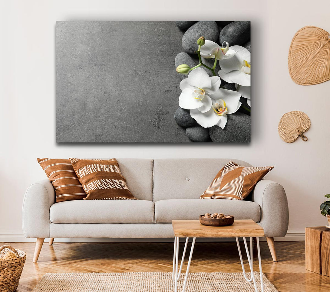 Picture of White Orchid on grey pebbles Canvas Print Wall Art