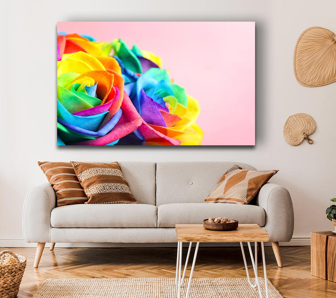 Picture of Rainbow closeup rose Canvas Print Wall Art