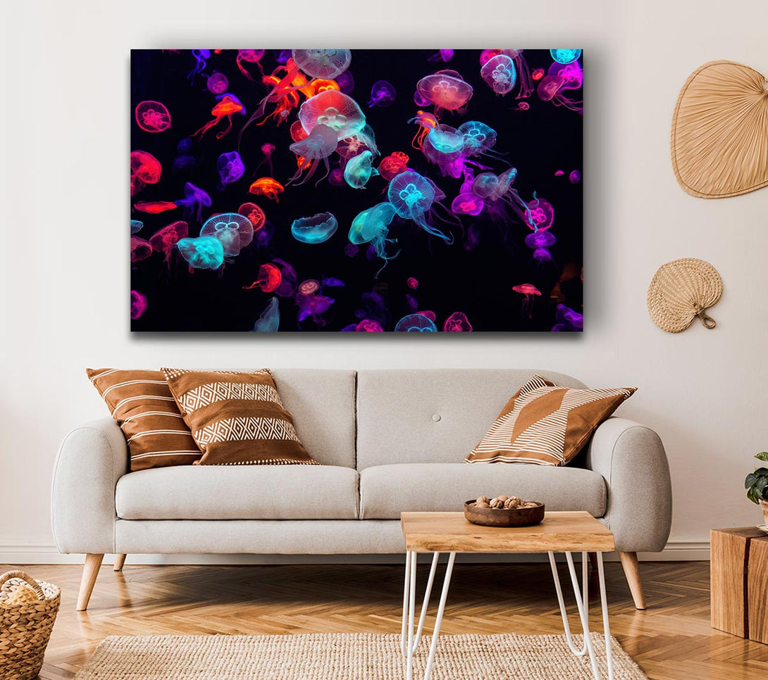 Picture of Neon Jellyfish frenzy Canvas Print Wall Art