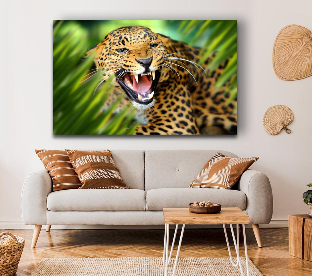 Picture of Fierce leopard in the grass Canvas Print Wall Art