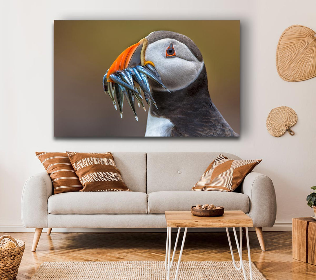 Picture of Puffin with a mouthall of fish Canvas Print Wall Art