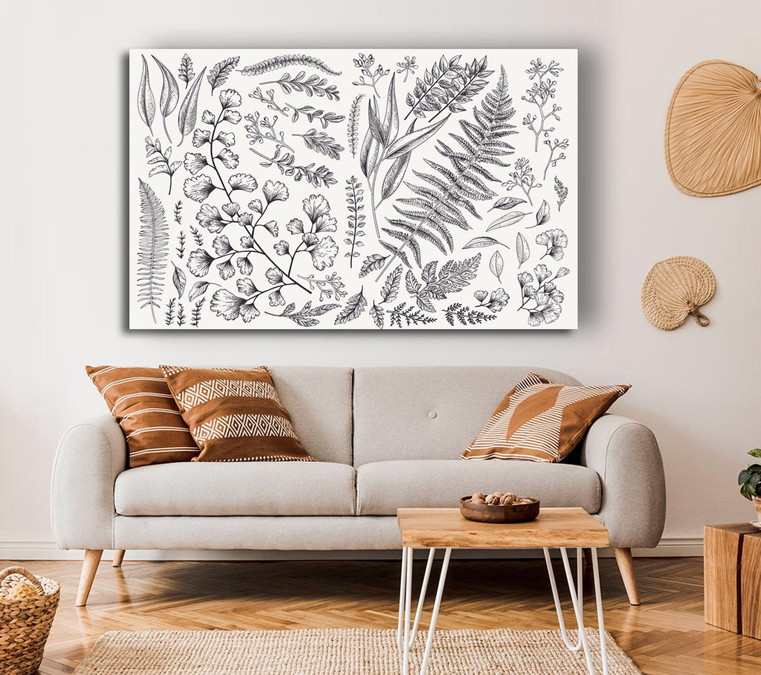 Picture of Natures Leaves Hand Drawn Canvas Print Wall Art