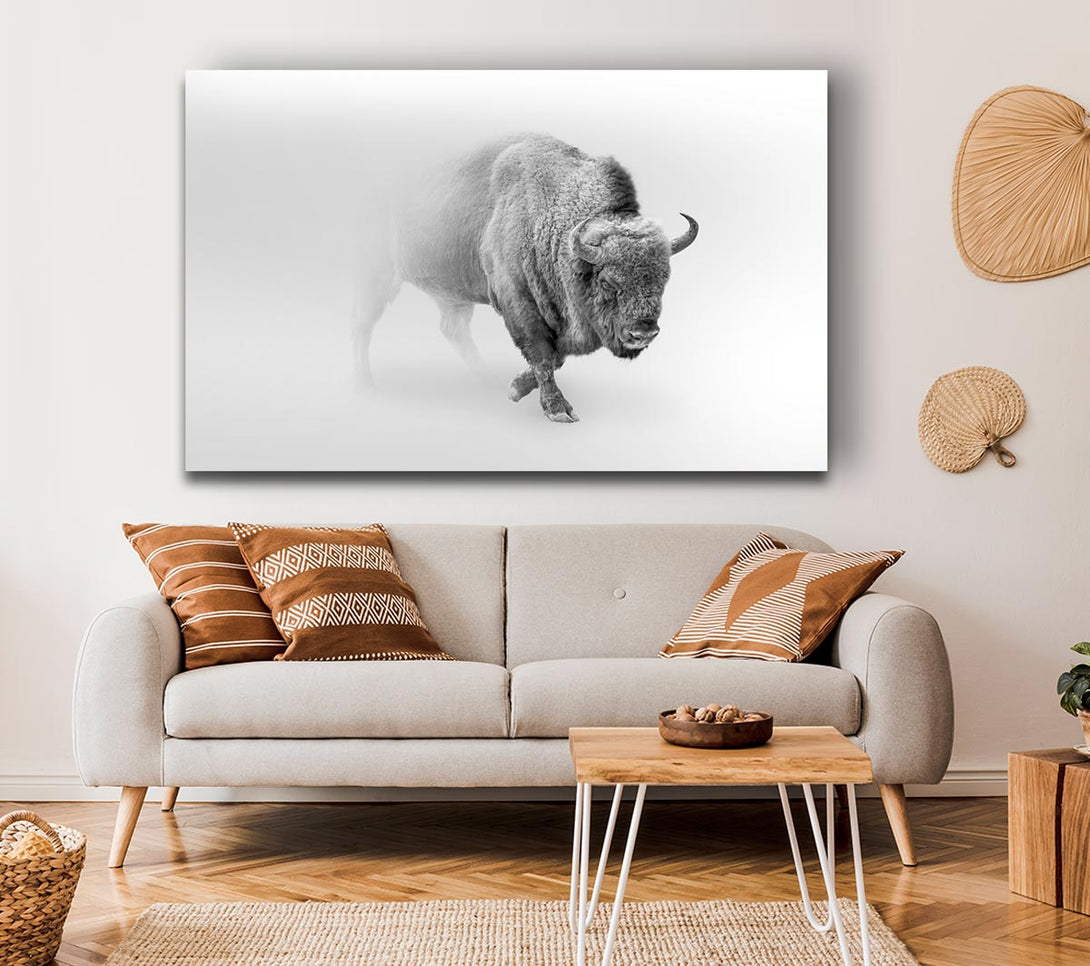 Picture of Bison In The Mist Canvas Print Wall Art