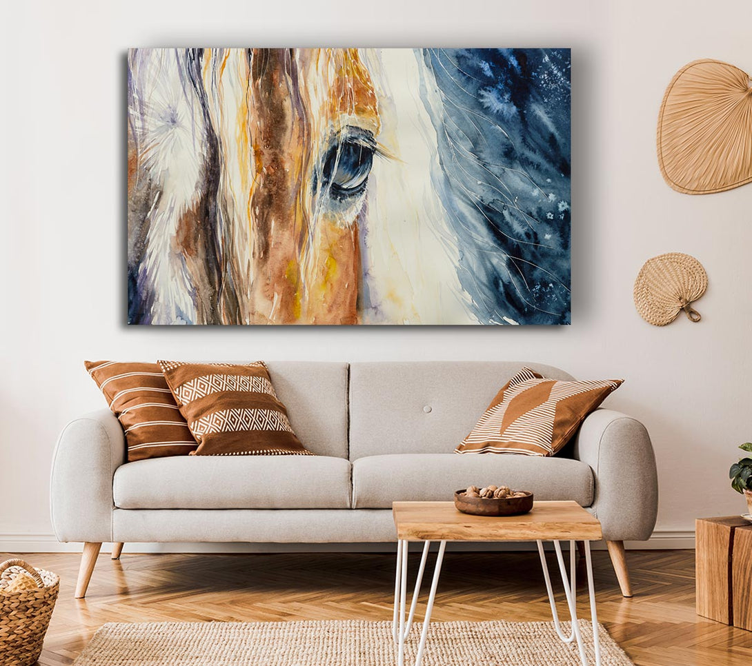 Picture of Deep Into Horses Eye Canvas Print Wall Art