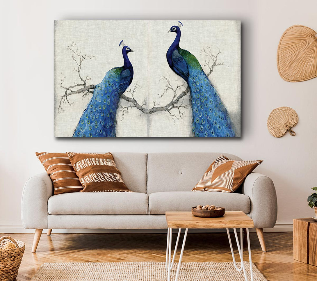 Picture of The Peacock Duo Canvas Print Wall Art