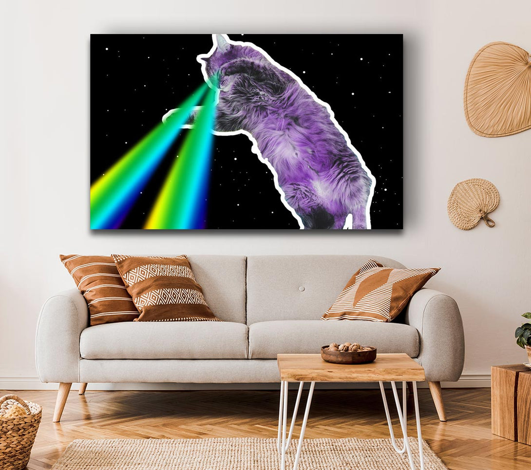 Picture of Cat Lazer Beam Space Canvas Print Wall Art