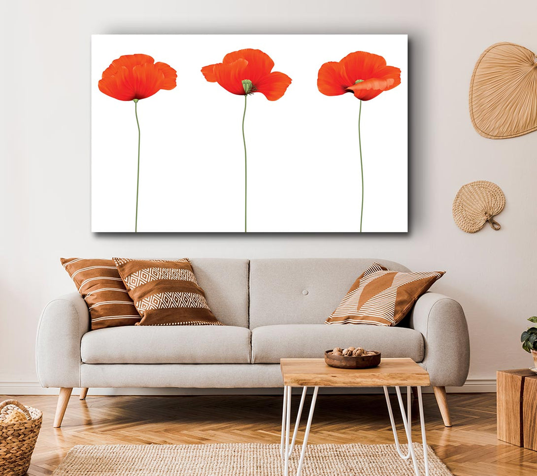 Picture of Three Poppies Standing Canvas Print Wall Art